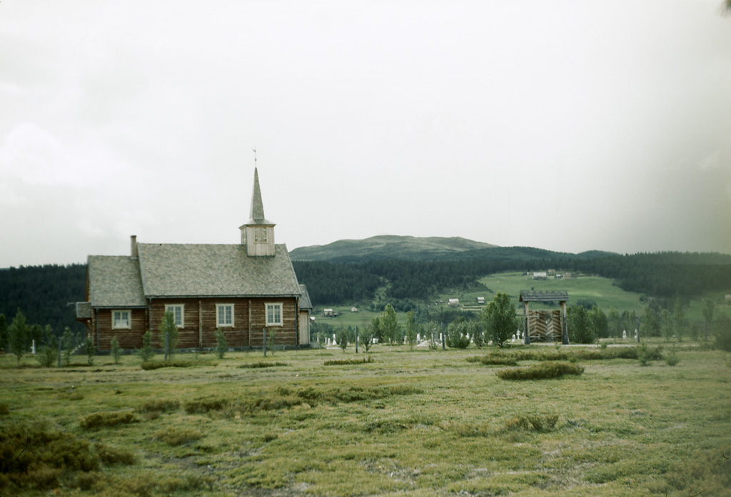 Fjällmiljö