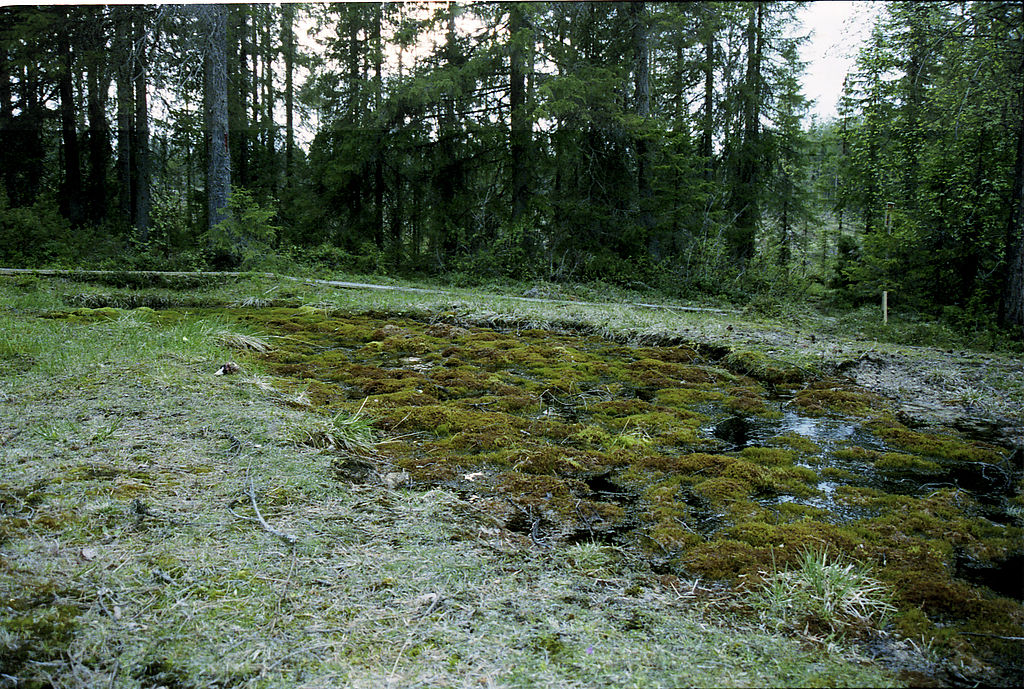 Naturreservat