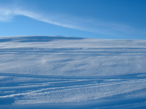 Upptäck naturen på längdskidor i vinter